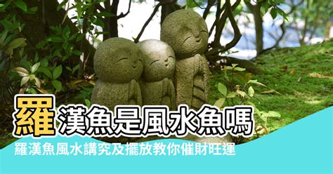 元寶羅漢|元寶羅漢擺放方位大解析